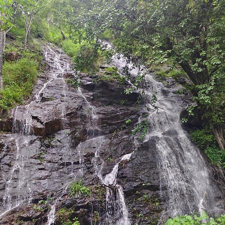 Coorg Divine Spark Home Stay Suntikoppa Экстерьер фото