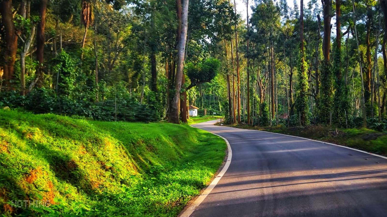 Coorg Divine Spark Home Stay Suntikoppa Экстерьер фото